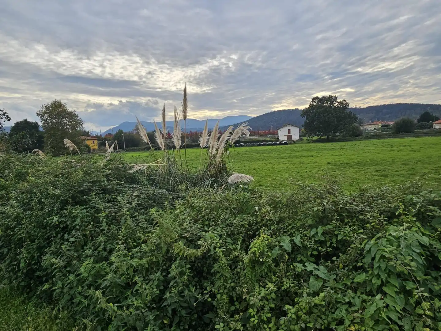 Terreni e lotti in vendita a Covadonga - Campuzano - Ciudad Vergel, imagen 6