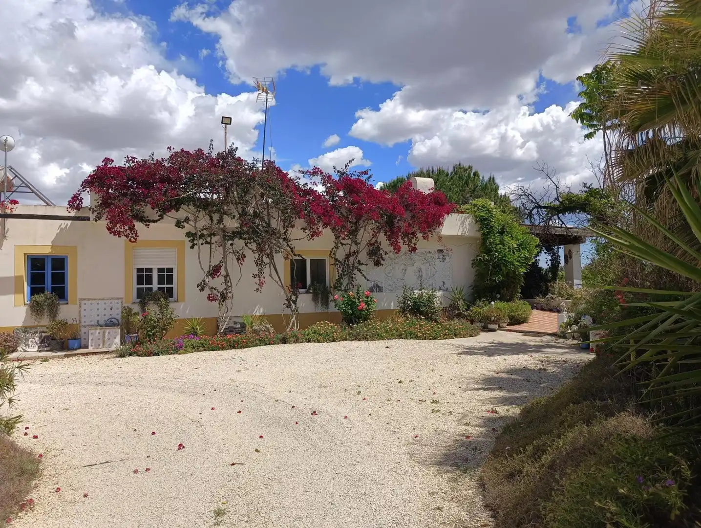 Jardí de Finca rústica en venda en Elche / Elx amb Aire condicionat, Calefacció i Jardí privat
