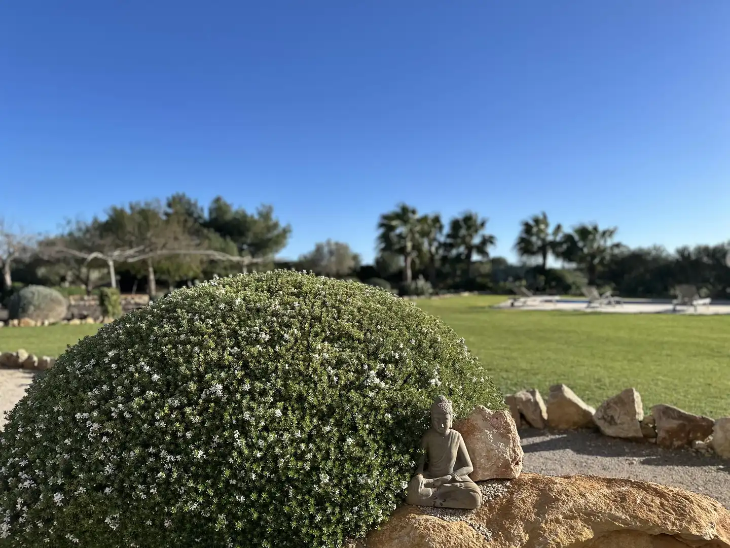 Finca rústica en venda a Ses Salines Poble