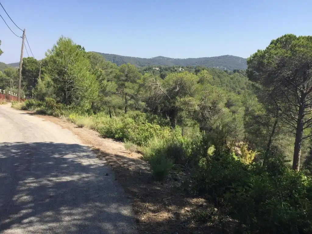 Terreny rústic en venda a BAIX PENEDES, imagen 11