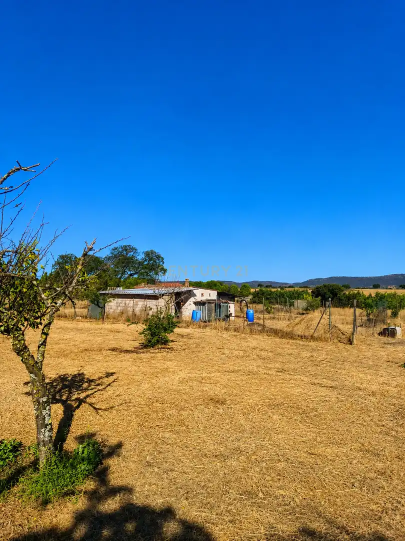 Casa o chalet en venta en Cáceres con Piscina