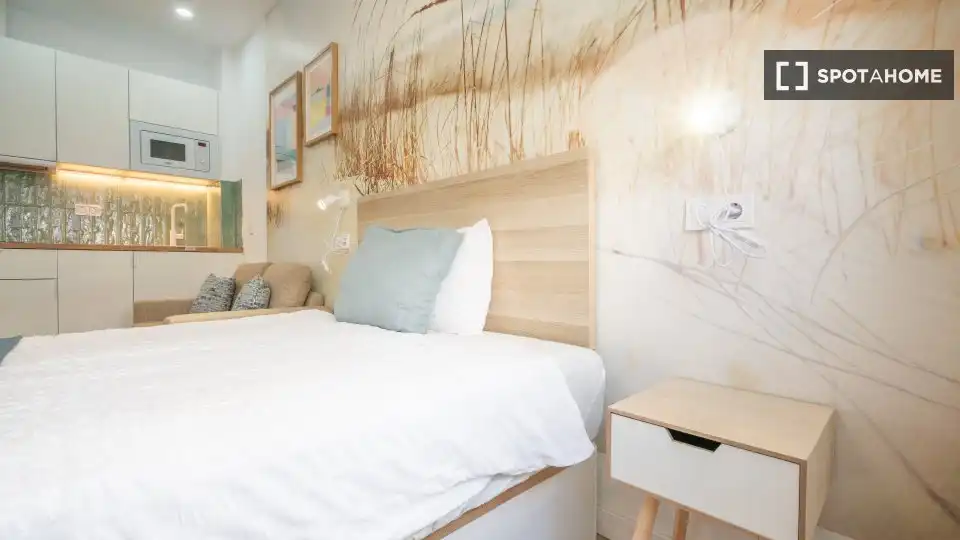 Habitación de Estudio para compartir en Madrid con Aire acondicionado, Calefacción y Terraza