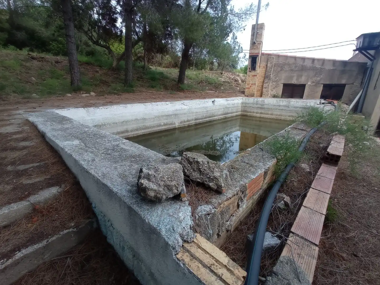 Swimming pool of Houses for sale in Tortosa