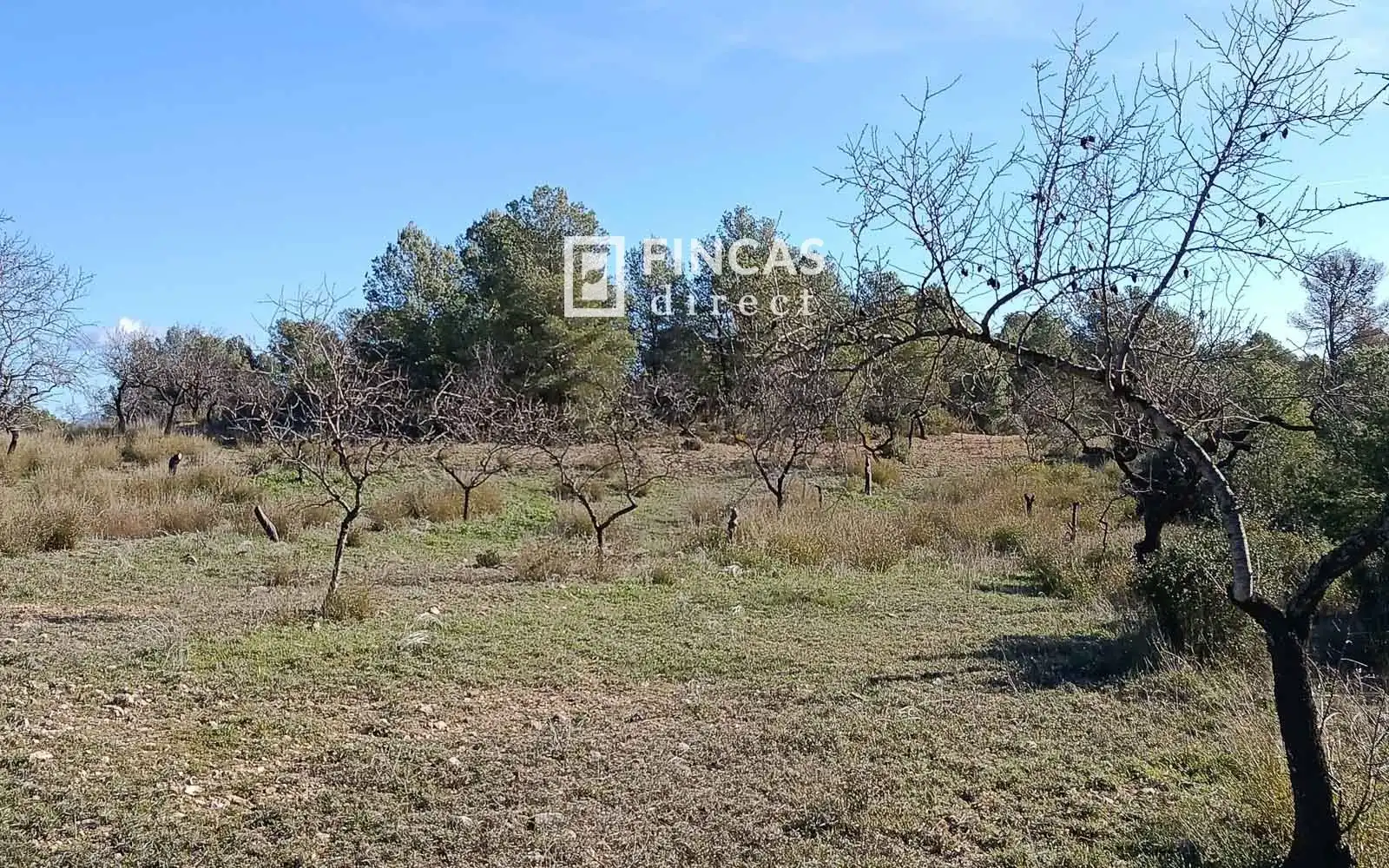 Finca rústica en venta en Miravet