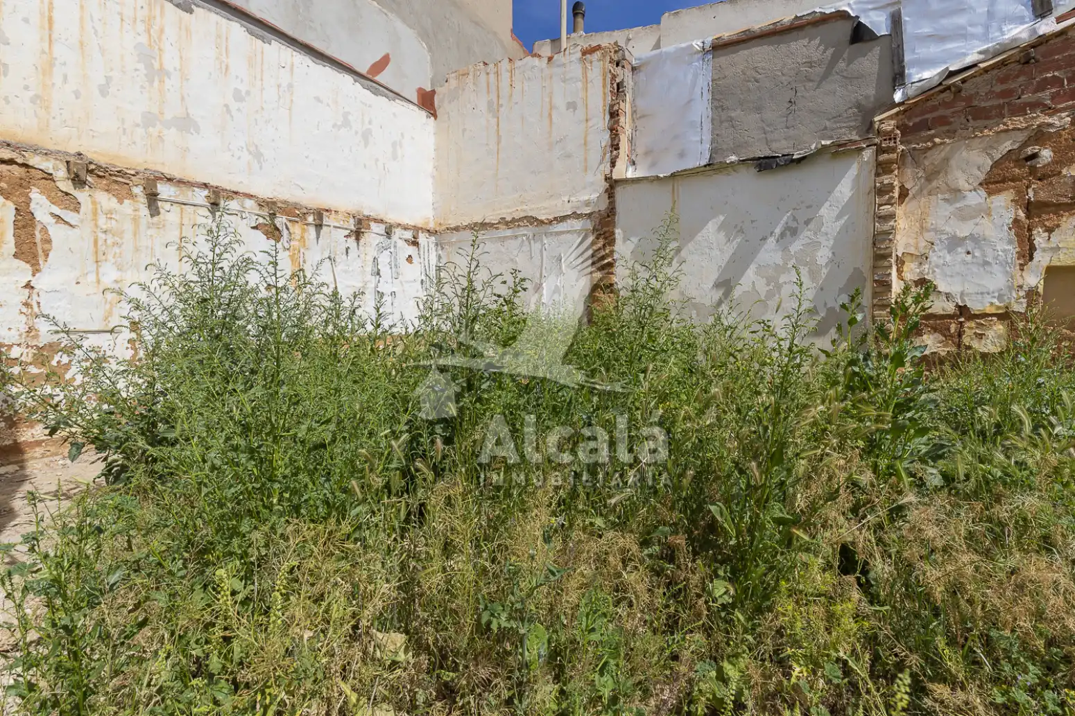 Rural land for sale in Madridejos, imagen 11