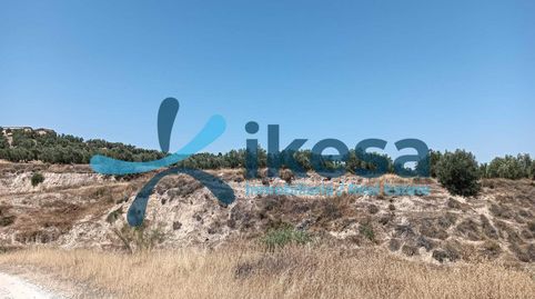 VENTA DE FINCA RÚSTICA EN JÓDAR JAÉN, imagen 4