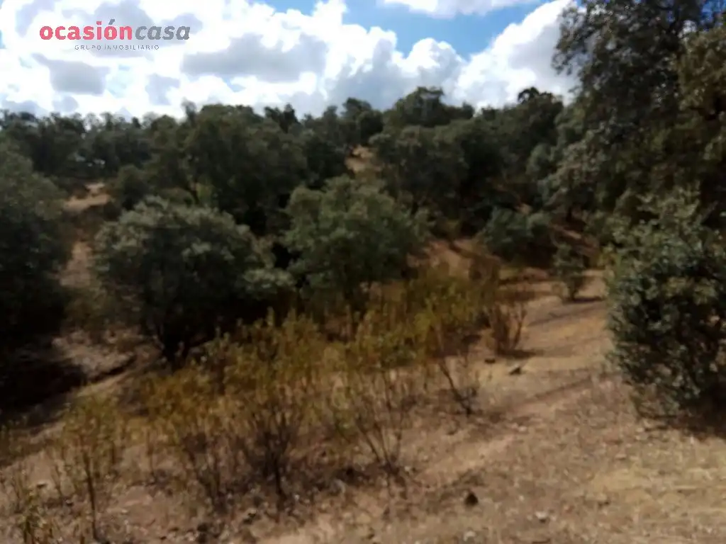 Finca rústica en venta en Villanueva del Duque