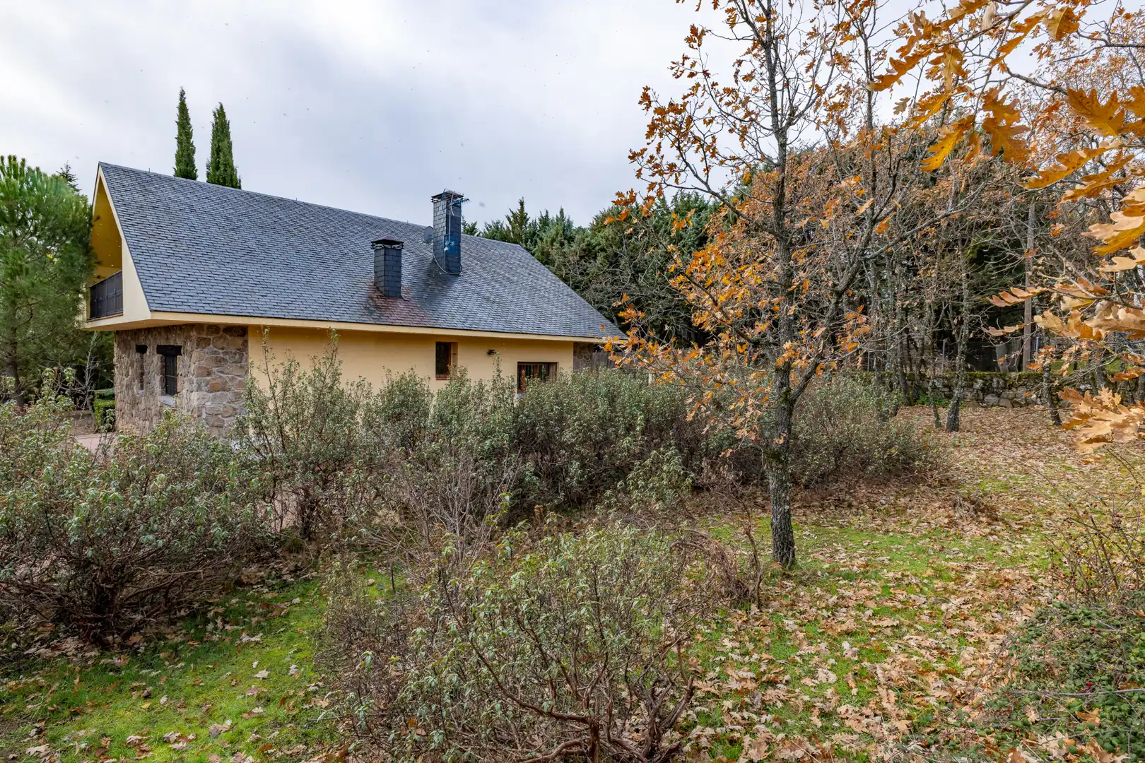Vista exterior de Casa o chalet en venta en Navacerrada con Calefacción, Jardín privado y Terraza