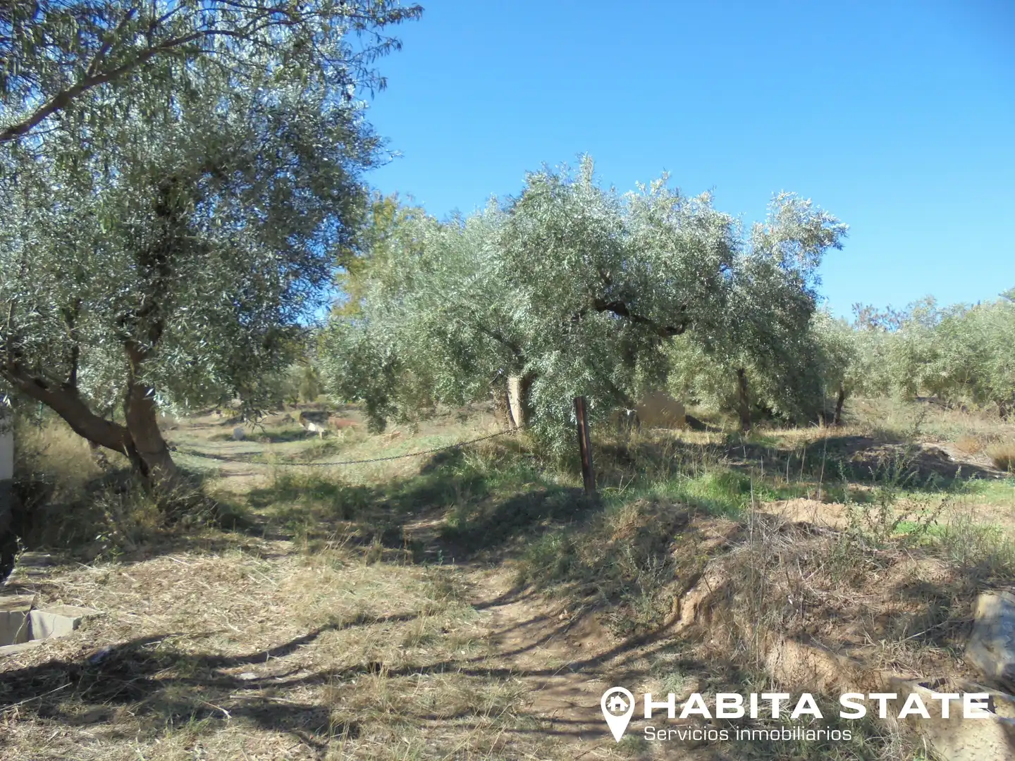 Grundstücke zum Verkauf in Abrucena