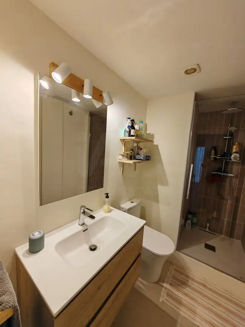 Flat with lift for sale in Eucaliptus- Poble Nou del Delta, imagen 13