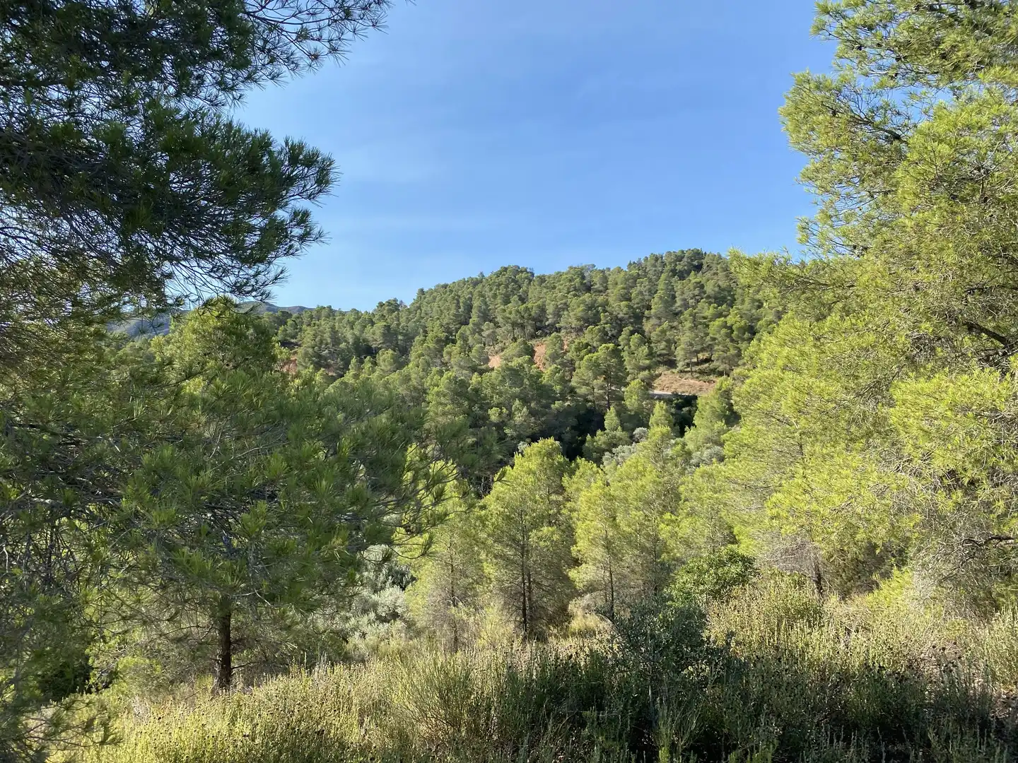 Terrain rustique à vendre à Ascó