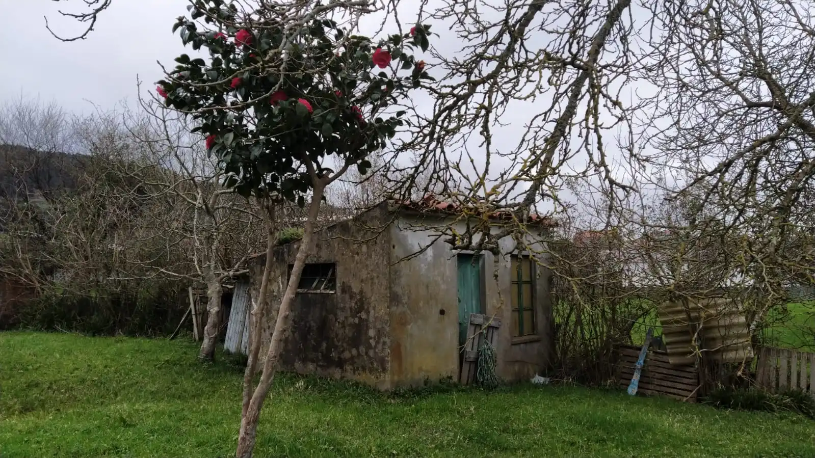 Terreni e lotti in vendita a Rúa Pérez Lugín 29, imagen 7