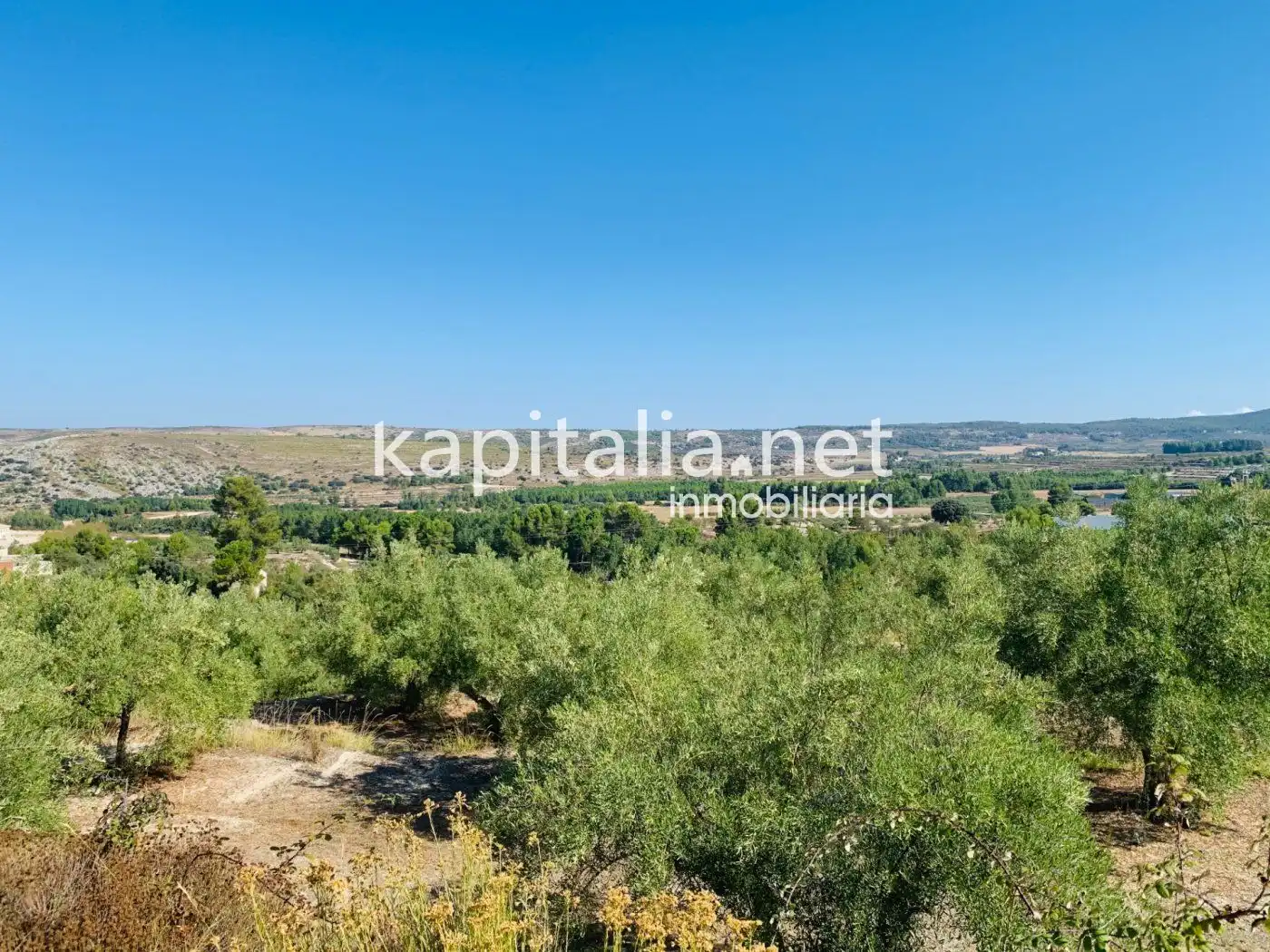Terreno residencial en venta en Alfafara, imagen 2