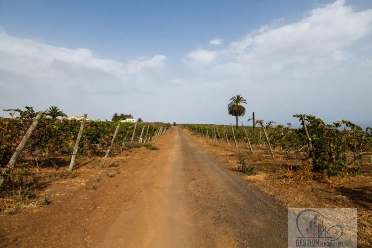 Vista exterior de Finca rústica en venda en Santa Úrsula amb Terrassa i Balcó