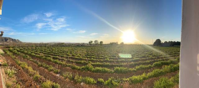 Terreno en Venta en Parcela CASCANTE en Cabanes y Las Fuentes