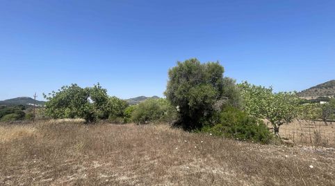 Foto 4 de Terreno en venta en Zona d'Interior, Son Servera