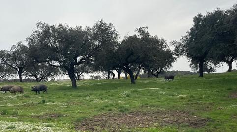Foto 5 de Terreno en venta en Alconchel, Badajoz