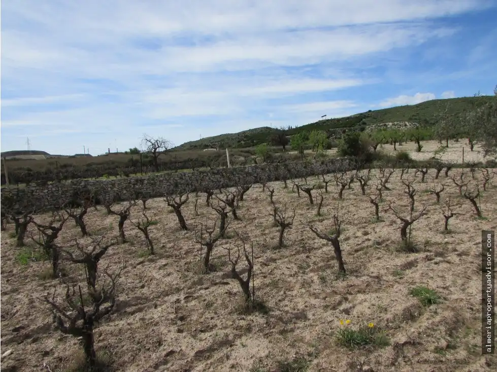 Country house for sale in Sorbas, imagen 11