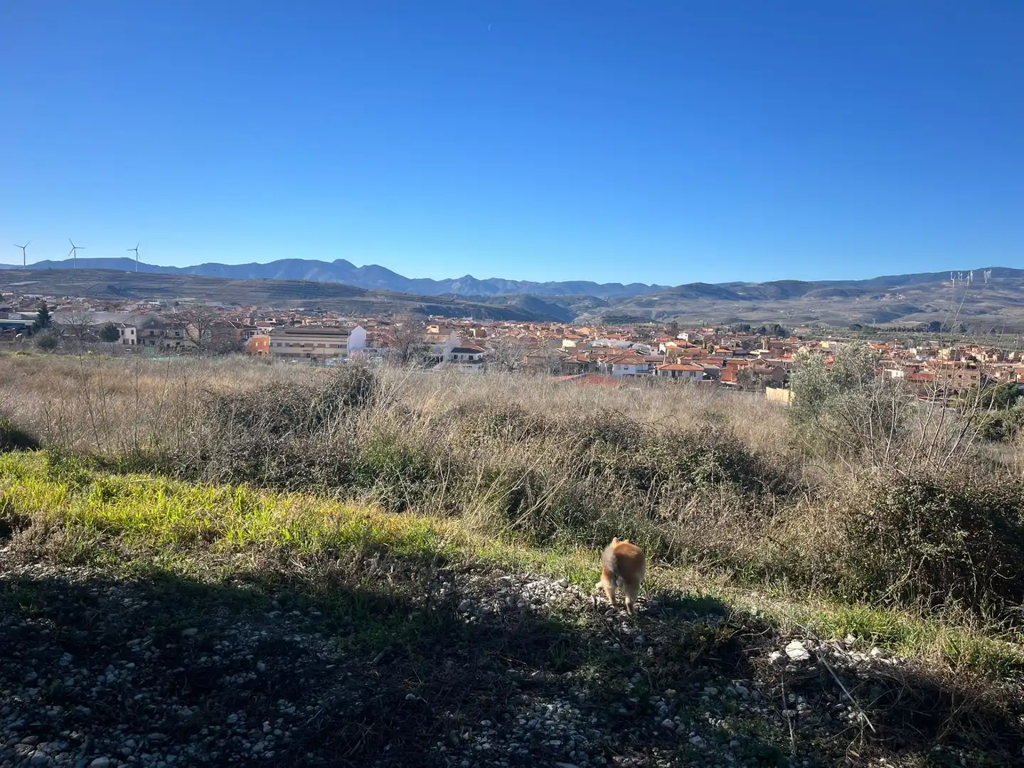 Rural land for sale in Calle Jose Saramago 2, imagen 2