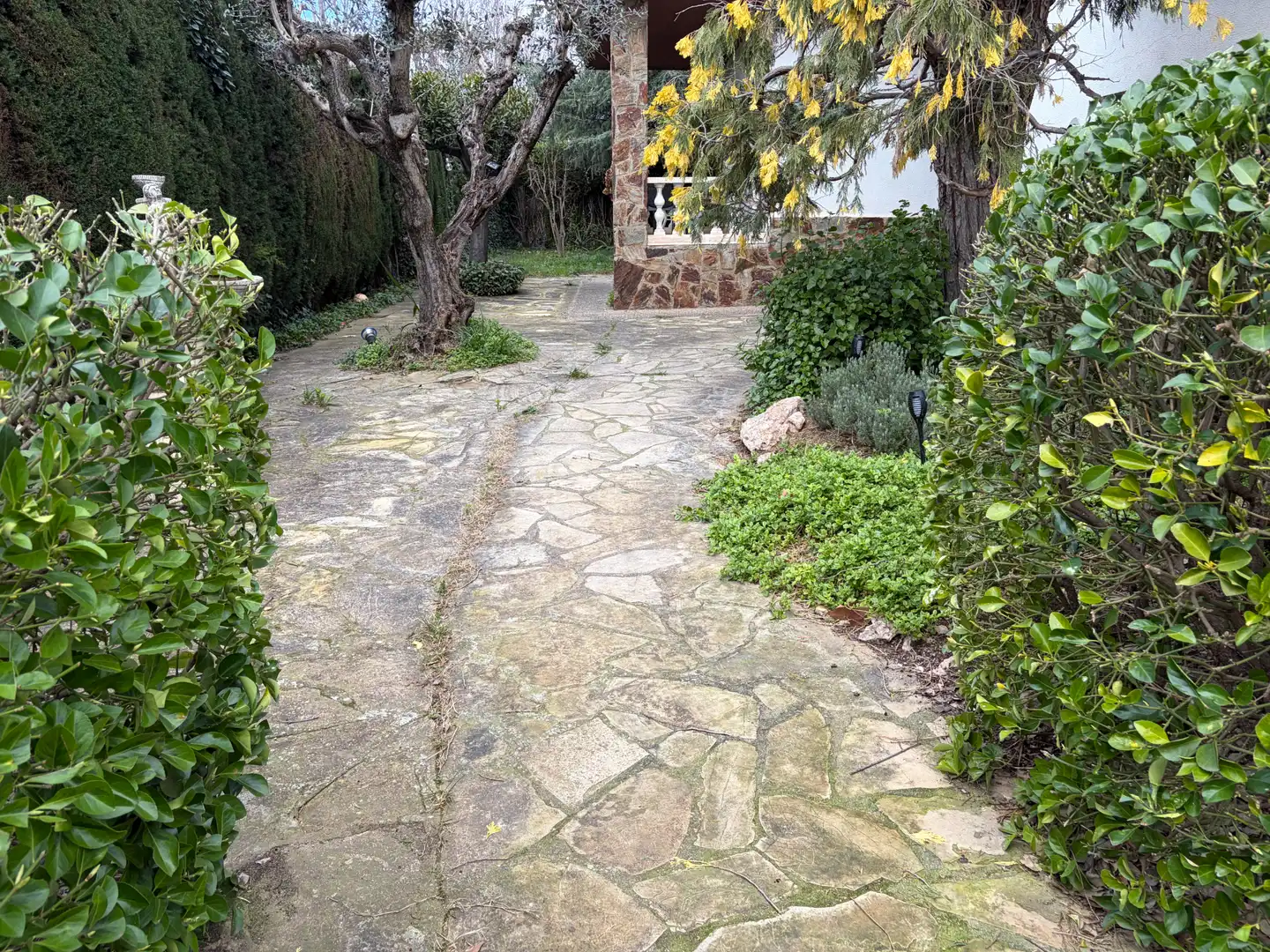 Jardín de Casa o chalet en venta en Barberà del Vallès con Aire acondicionado, Calefacción y Jardín privado