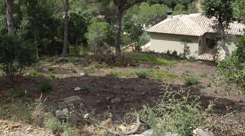 Parcela con vista a las Gavarres., imatge 5