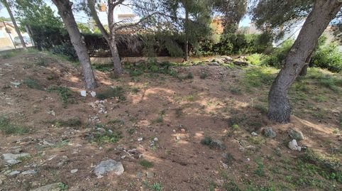 PARCELA URBANA CON PROYECTO., immagine 5