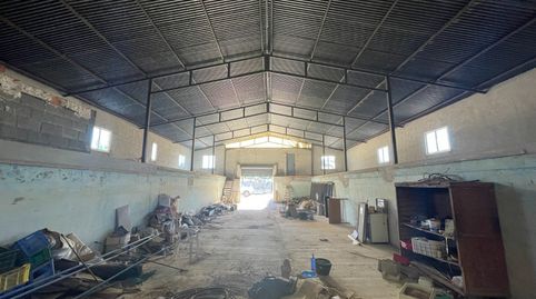 Foto 5 de Finca rústica en venta en N/a, -1, Carrús Oeste, Elche / Elx