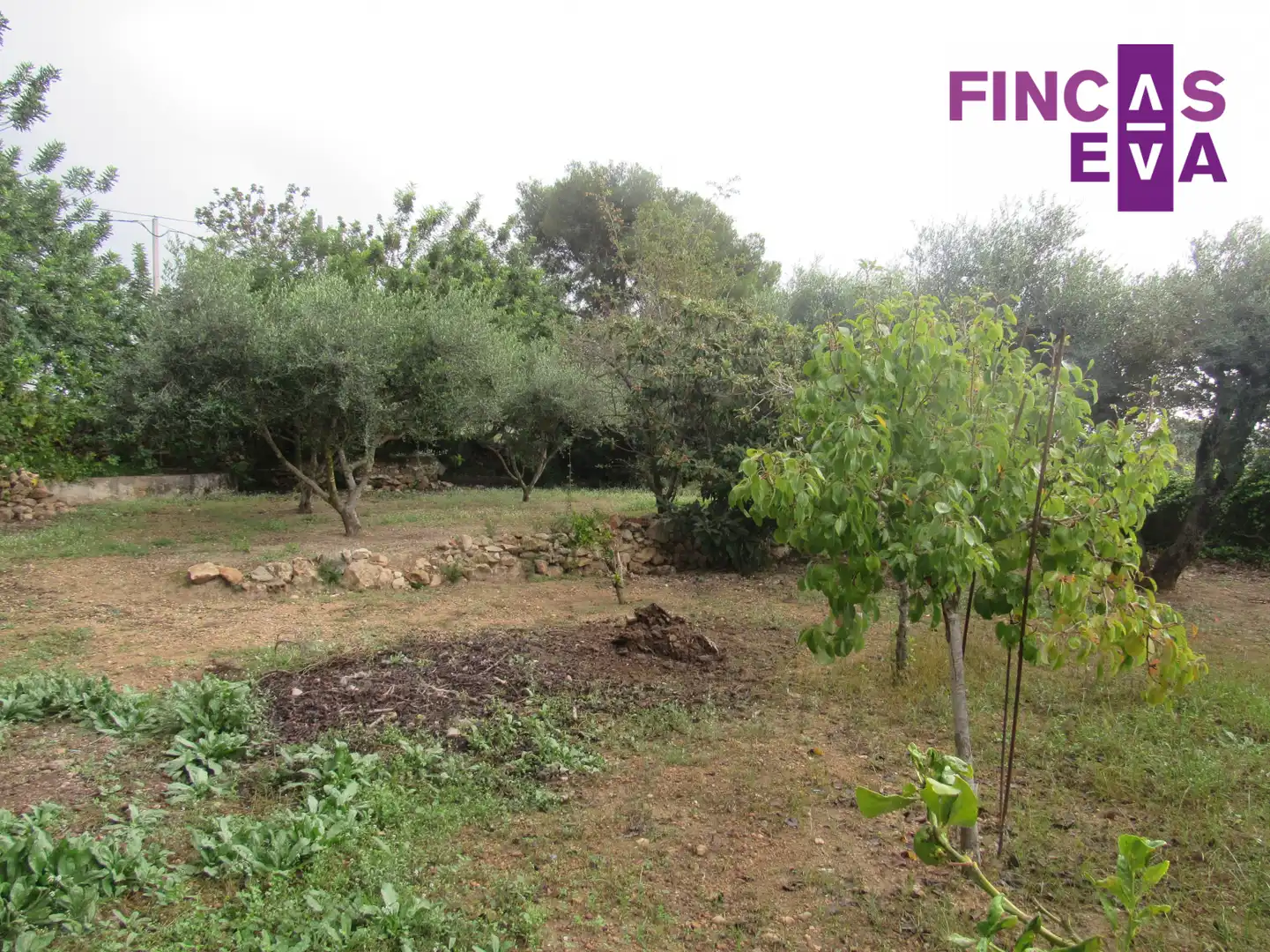 Residential land for sale in Tarragona - LLORITO, imagen 8