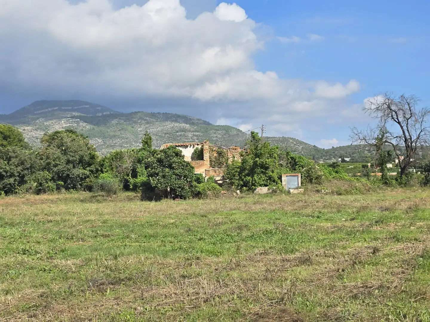 Terrain rustique à vendre à Partida las Casas