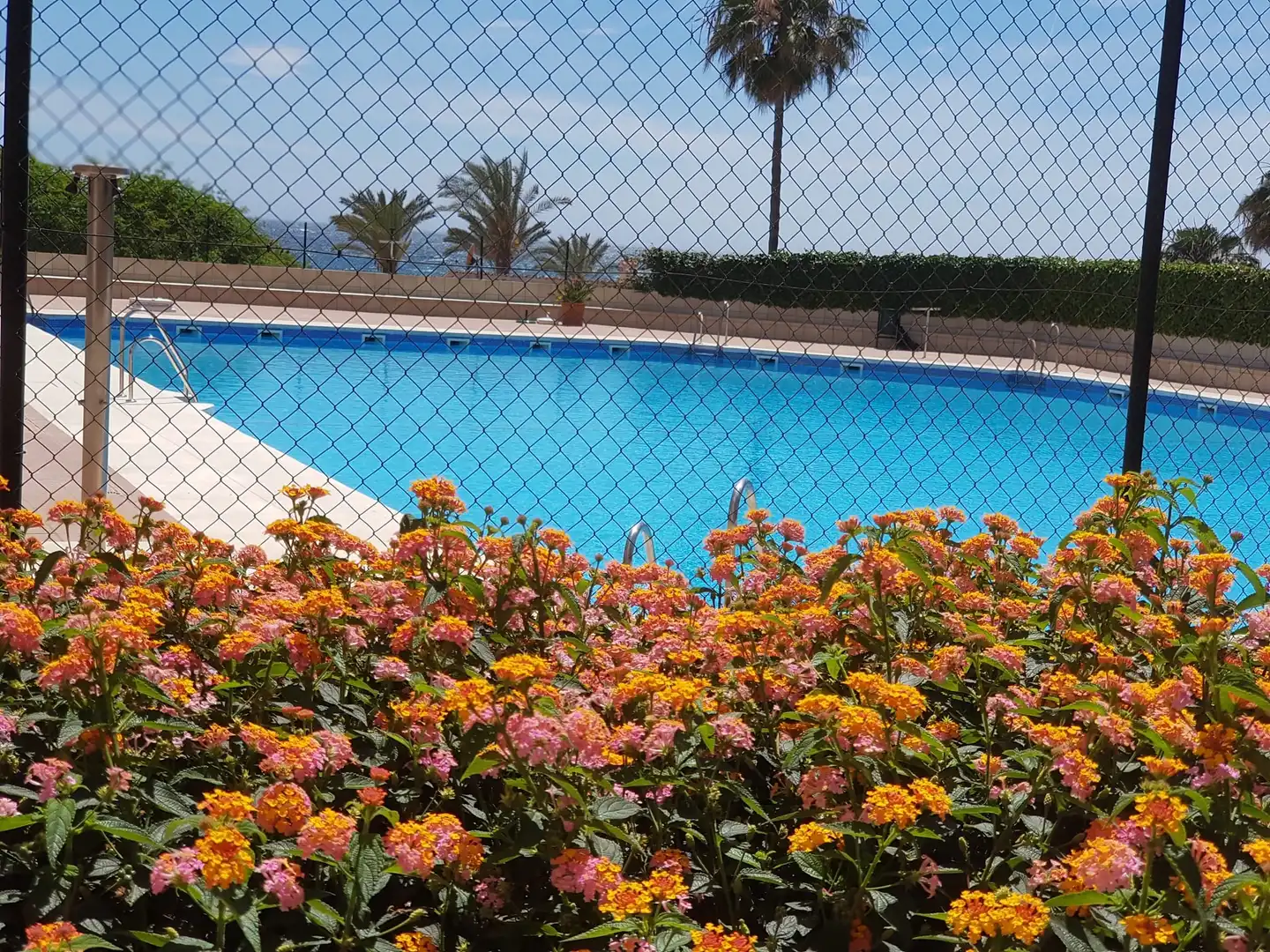 Piscina de Estudi de lloguer en Torrox amb Aire condicionat, Calefacció i Moblat
