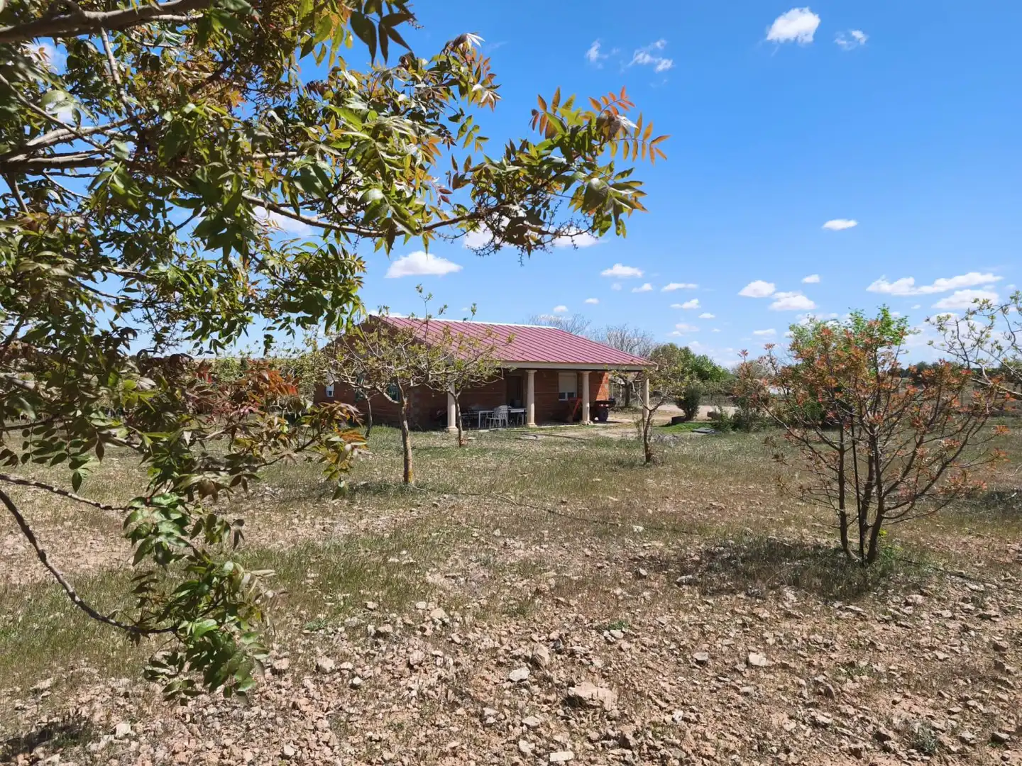 Finca rústica en venta en Alcázar de San Juan