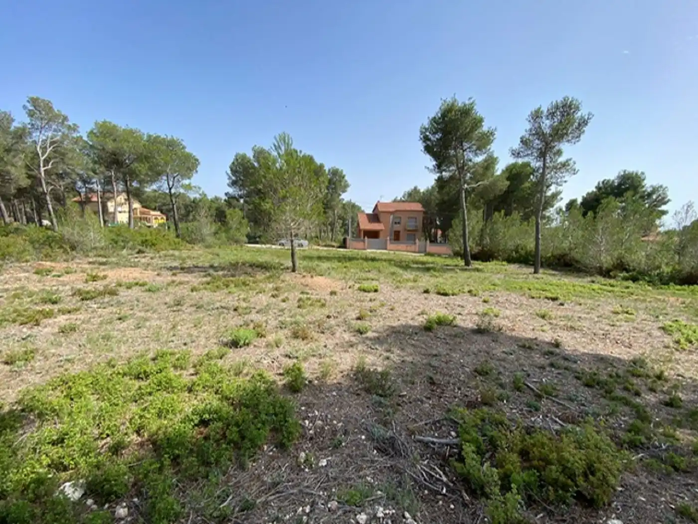 Terreny residencial en venda a Cabra del Camp, imagen 2