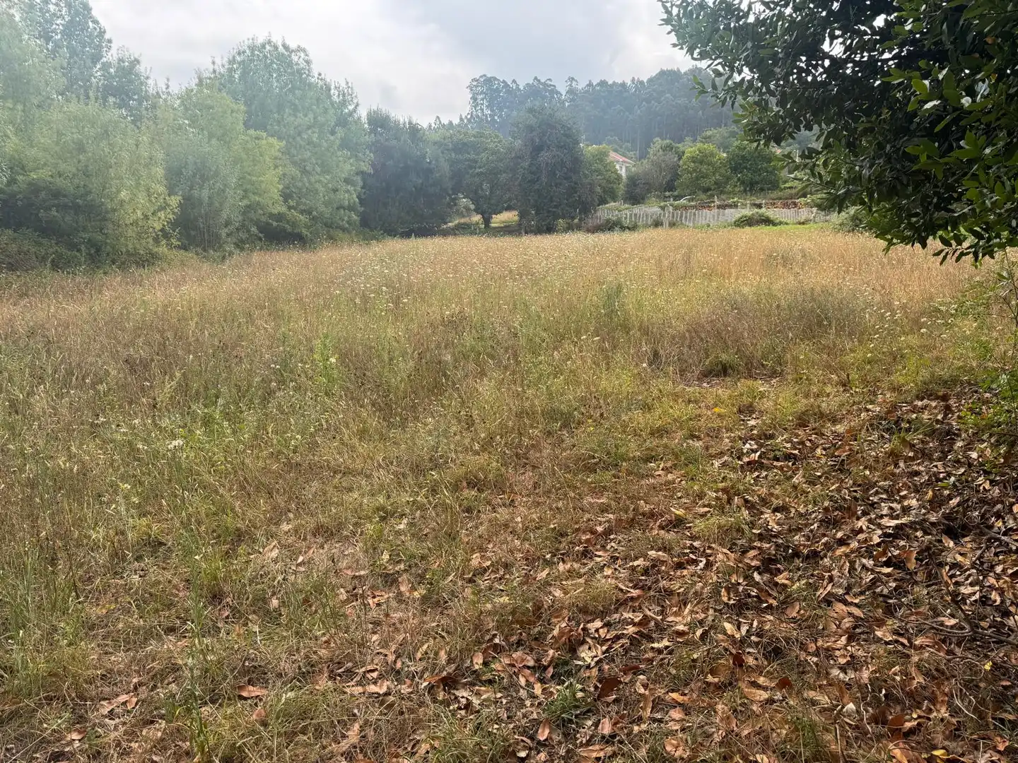 Terreny industrial en venda en Vilagarcía de Arousa