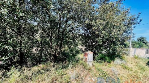 Parcela en Residencial Blanes de 403 m2, imatge 5