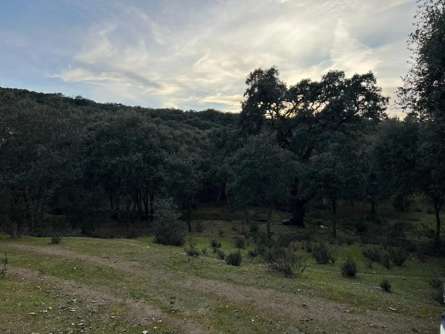 Terreno en venta en Almendral de la Cañada, Toledo