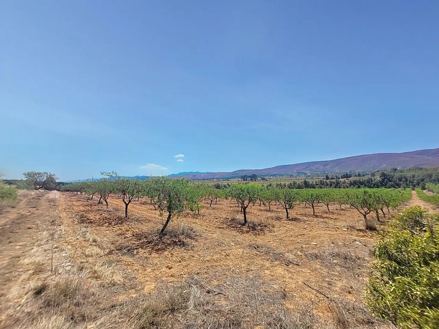 Land for sale in Ontinyent