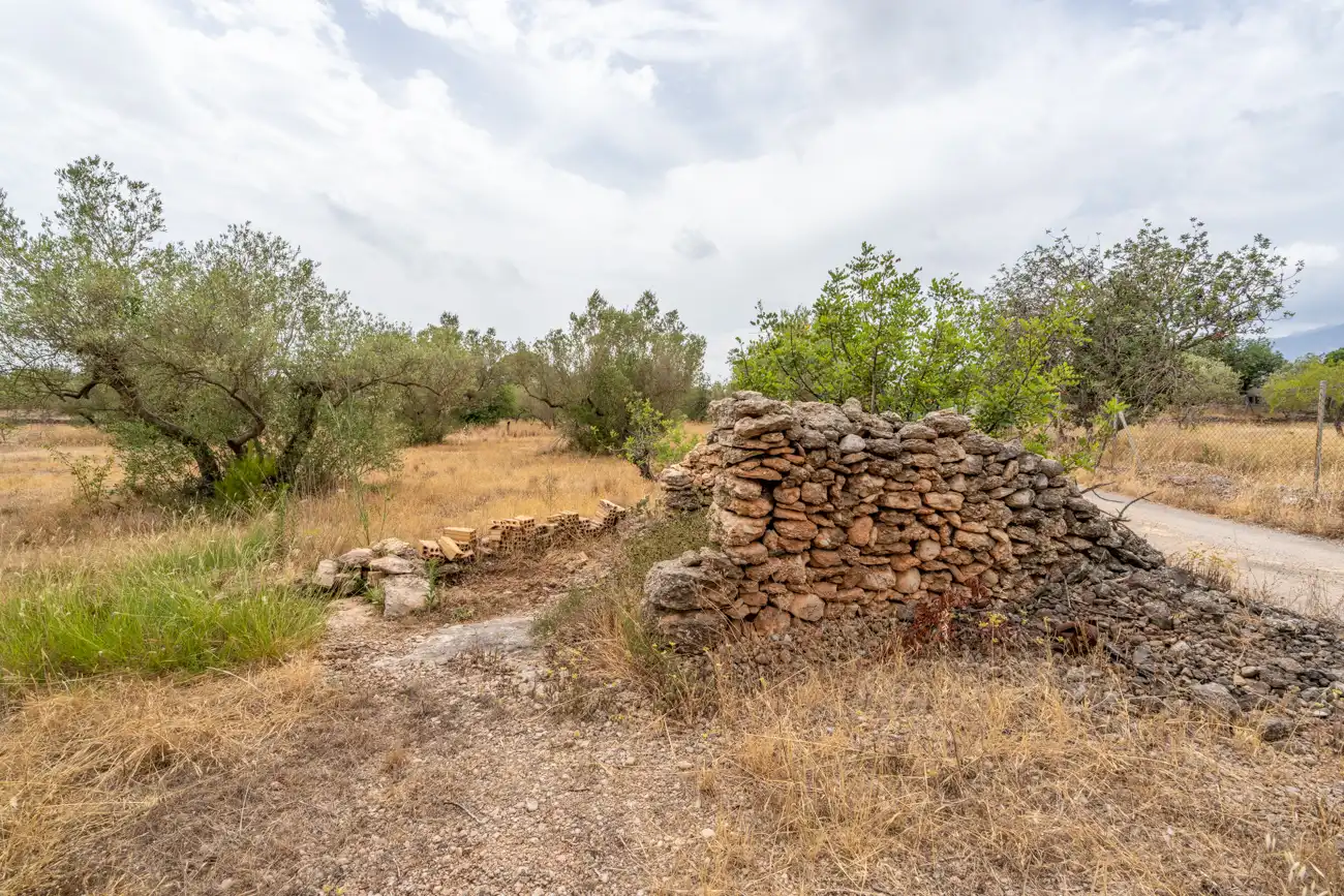 Terrain rustique à vendre à Carrer del Boix 54