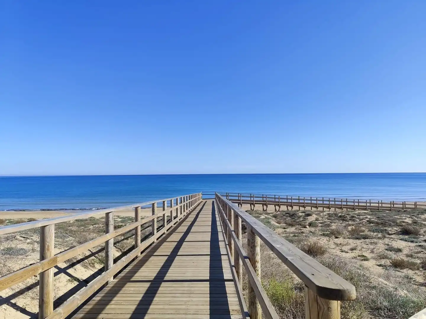 Vista exterior de Apartament en venda en Torrevieja amb Aire condicionat, Terrassa i Moblat