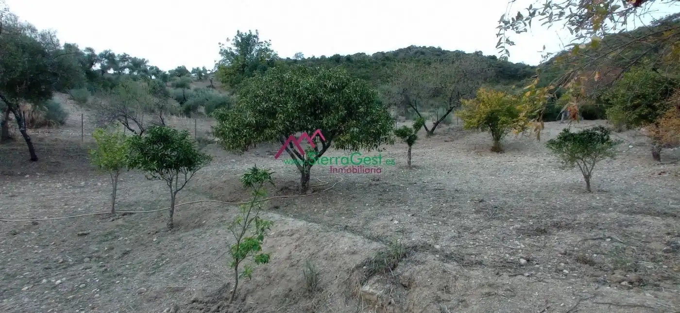 Terreni e lotti in vendita a Benaocaz, imagen 39