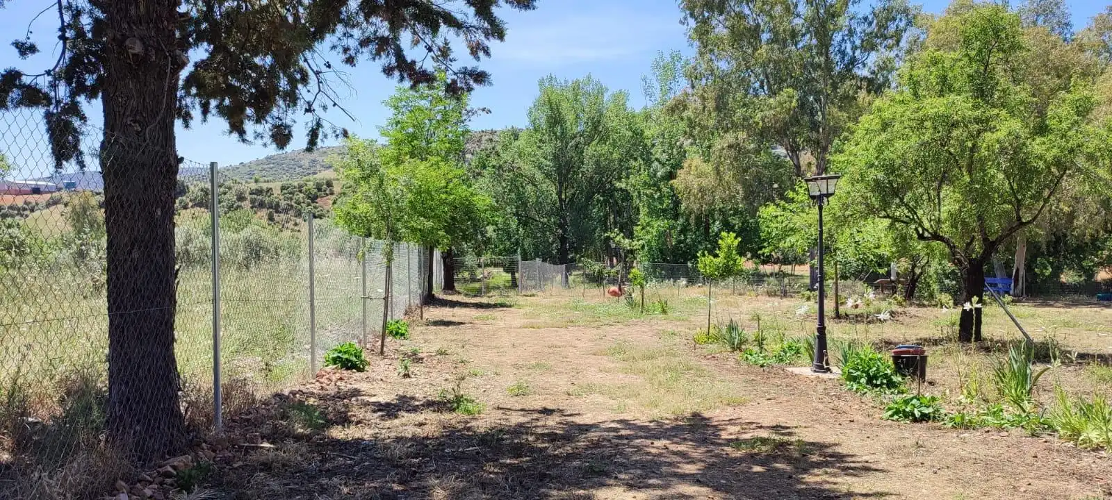 Casa rústica amb piscina en venda a Porzuna, imagen 16