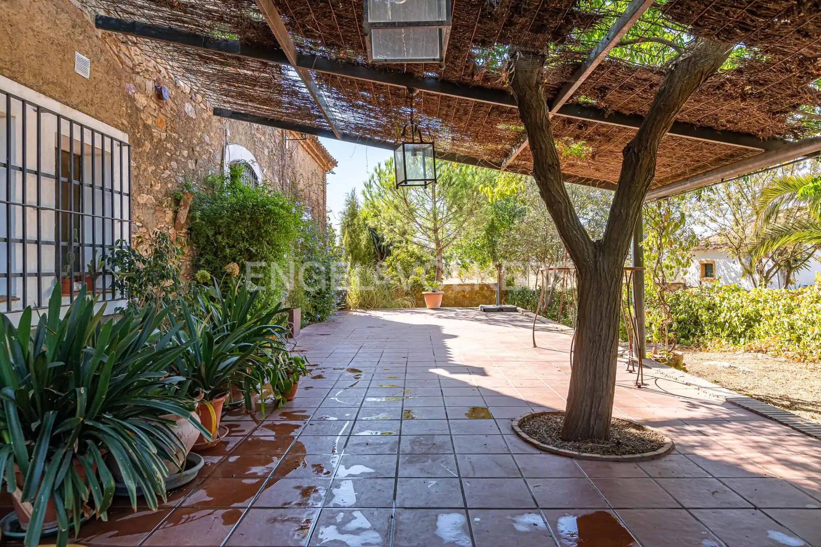 Terraza de Casa o chalet en venta en Bienvenida con Calefacción y Jardín privado