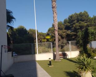 Garden of Apartment to rent in Guardamar del Segura  with Private garden, Swimming Pool and Furnished