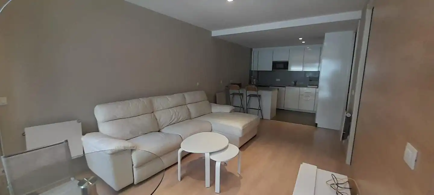 Sala de estar de Piso de alquiler en Escaldes – Engordany con Aire acondicionado y Amueblado