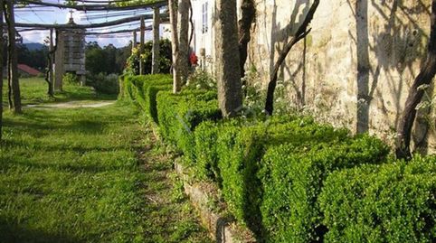 Immagine 4 dell'annuncio