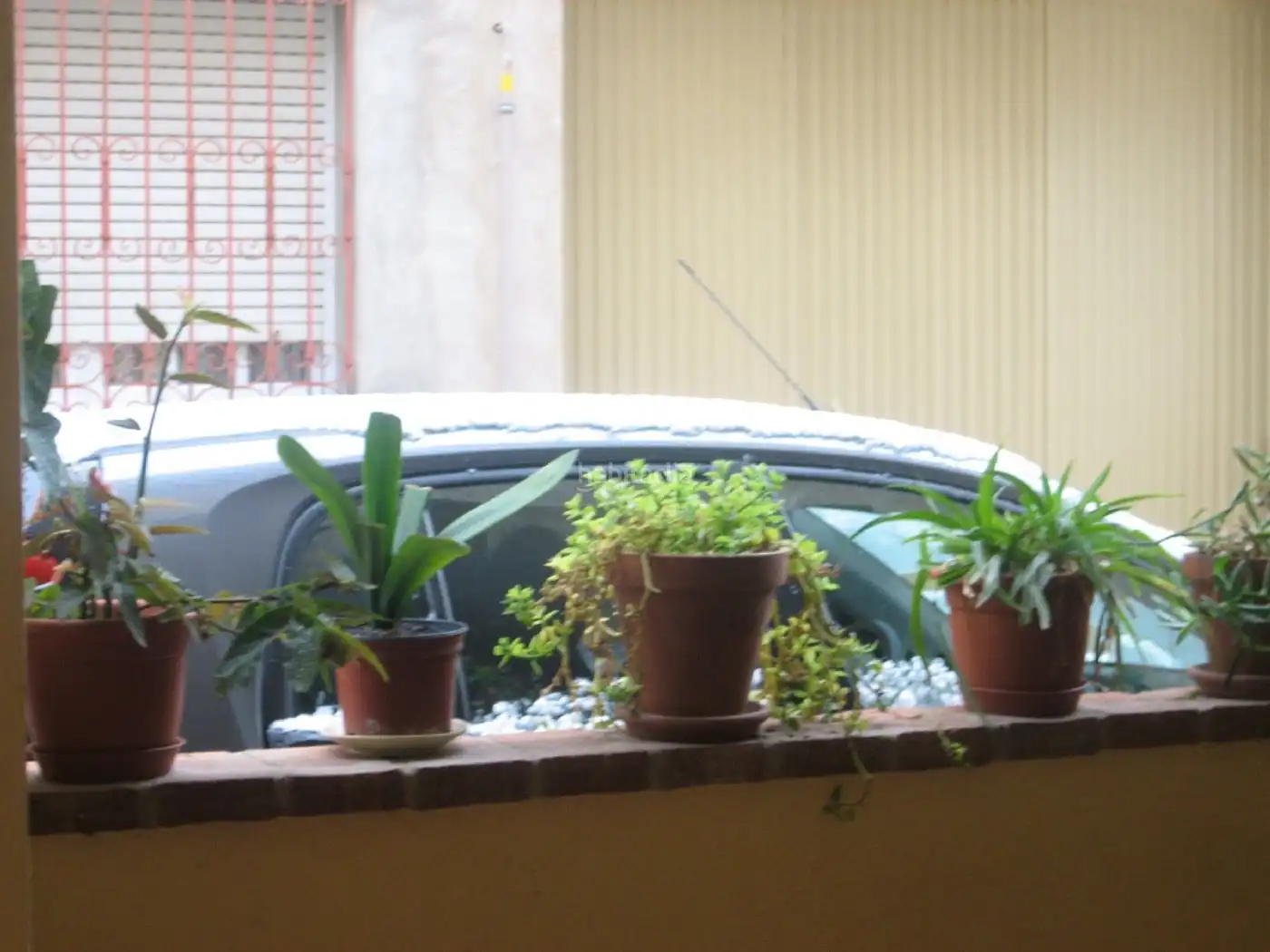 Casa con jardín en venta en Carrer Nou 4, imagen 2