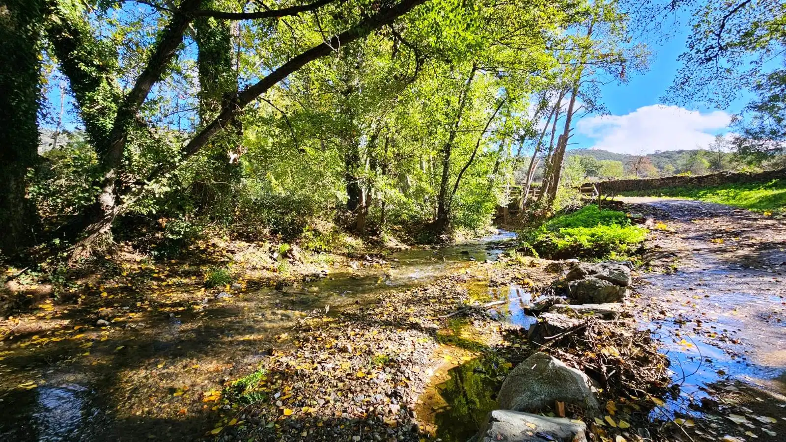 Terrenos y solares en venta en La Nava, imagen 10