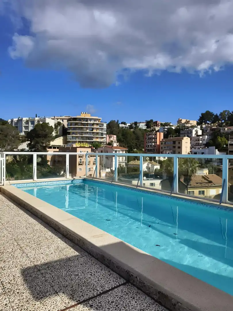 Piscina de Àtic de lloguer en  Palma de Mallorca amb Aire condicionat, Terrassa i Traster