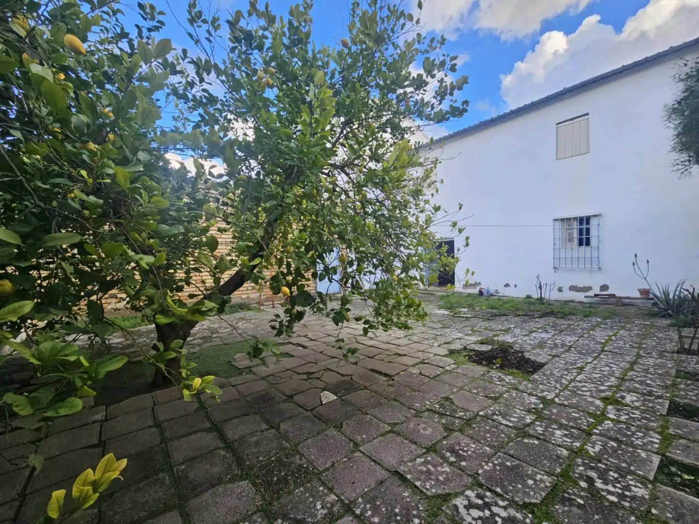 House with terrace for sale in Benamejí, imagen 34