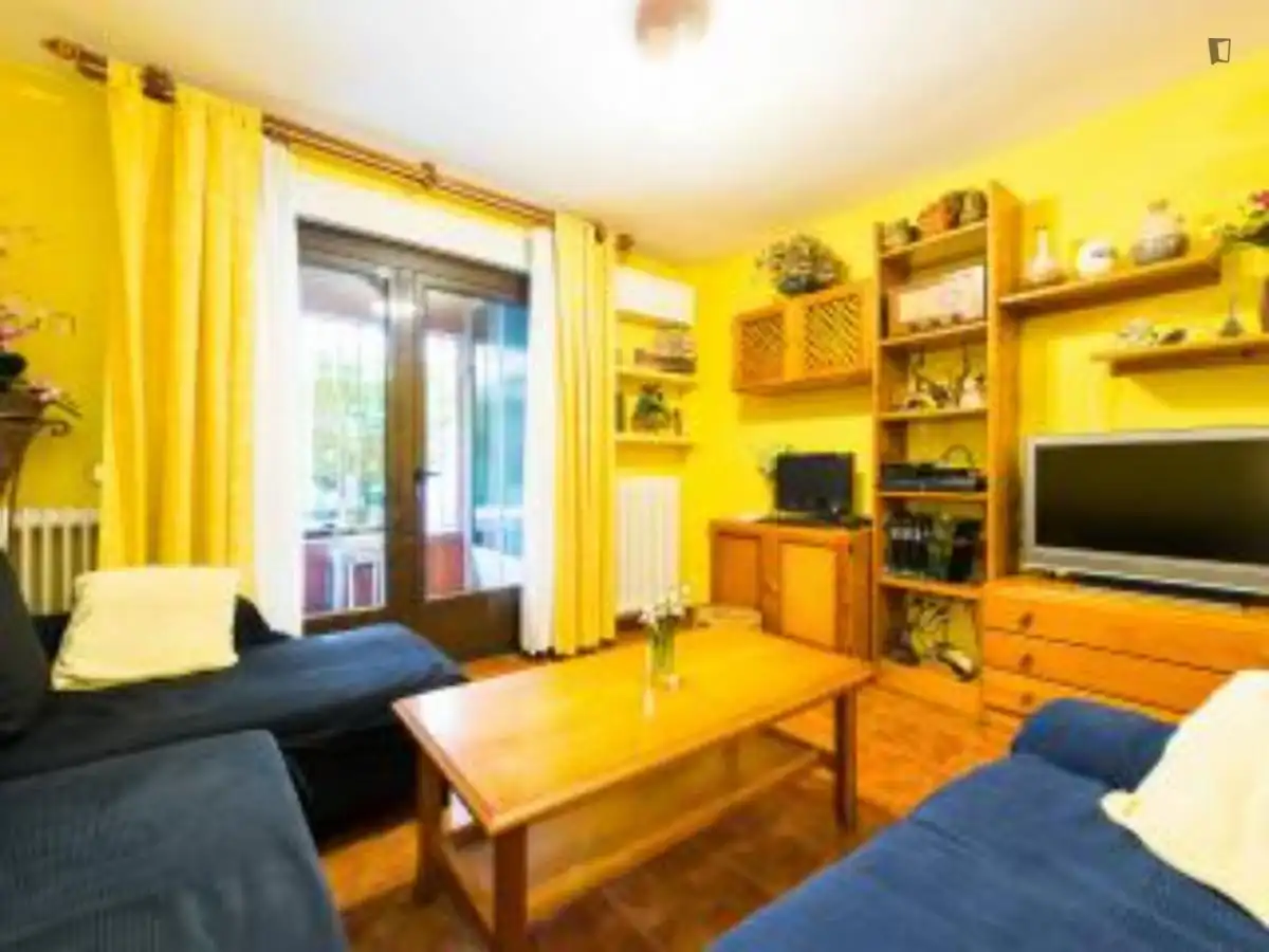 Living room of Apartments for rent in Madrid  with Air Conditioner, Heating and Furnished
