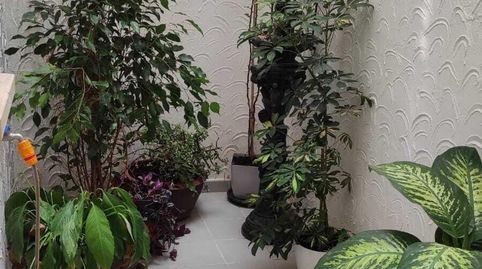 Foto 4 de Piso en venta en Petrer, Alicante